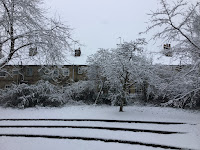 Photo by Sheila Webber of snow in February 2024